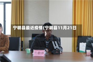 宁明县最近疫情(宁明县11月21日)