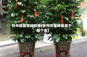 忻州地区繁峙疫情(忻州市繁峙县属于哪个省)