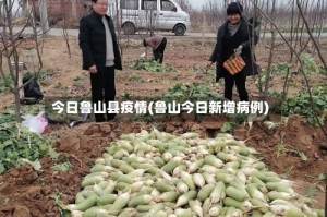 今日鲁山县疫情(鲁山今日新增病例)