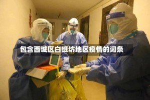 包含西城区白纸坊地区疫情的词条
