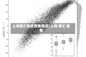 上海南汇地区疫情情况/上海 南汇 疫情