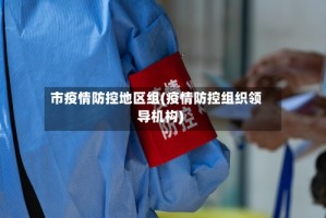市疫情防控地区组(疫情防控组织领导机构)