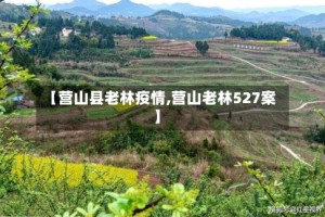 【营山县老林疫情,营山老林527案】