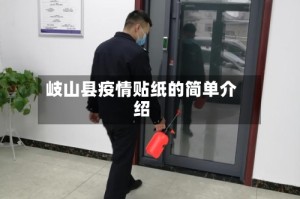 岐山县疫情贴纸的简单介绍