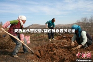 陇西县永吉疫情/陇西县永吉乡地图