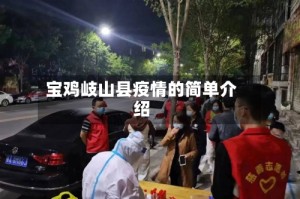 宝鸡岐山县疫情的简单介绍