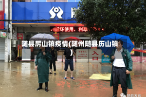 随县厉山镇疫情(随州随县历山镇)