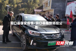 洞口县保安疫情/洞口县疫情防控公告