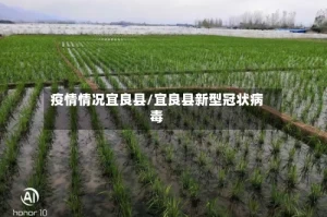疫情情况宜良县/宜良县新型冠状病毒