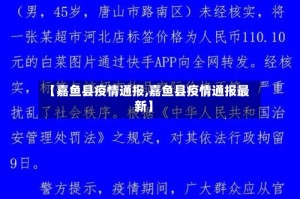 【嘉鱼县疫情通报,嘉鱼县疫情通报最新】