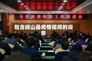 包含岐山县疫情视频的词条