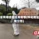 怀化省有哪些地区有疫情(怀化地区疫情分布)