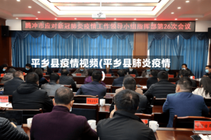 平乡县疫情视频(平乡县肺炎疫情)