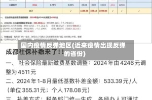 国内疫情反弹地区(近来疫情出现反弹的省份)