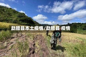 勐腊县本土疫情/勐腊县 疫情