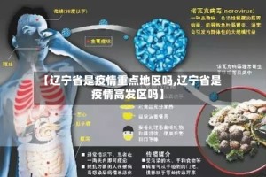 【辽宁省是疫情重点地区吗,辽宁省是疫情高发区吗】