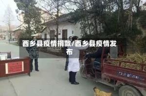 西乡县疫情捐款/西乡县疫情发布