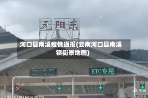 河口县南溪疫情通报(云南河口县南溪镇街景地图)