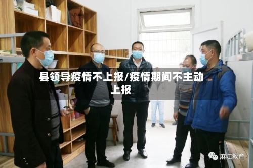 县领导疫情不上报/疫情期间不主动上报-第1张图片