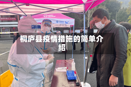 桐庐县疫情措施的简单介绍-第3张图片