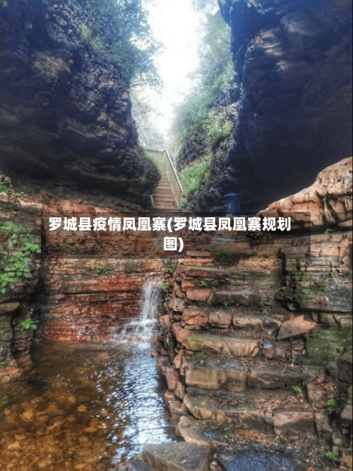 罗城县疫情凤凰寨(罗城县凤凰寨规划图)-第1张图片