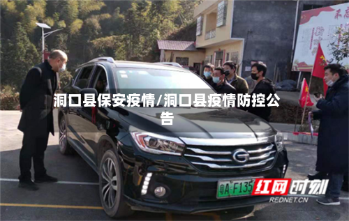 洞口县保安疫情/洞口县疫情防控公告-第1张图片