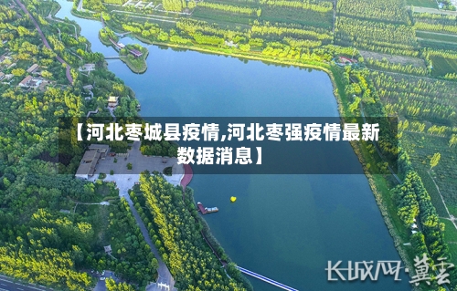 【河北枣城县疫情,河北枣强疫情最新数据消息】-第2张图片
