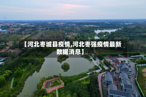 【河北枣城县疫情,河北枣强疫情最新数据消息】-第3张图片
