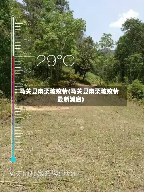 马关县麻栗坡疫情(马关县麻栗坡疫情最新消息)-第1张图片