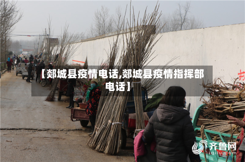 【郯城县疫情电话,郯城县疫情指挥部电话】-第1张图片