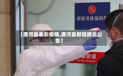 【唐河县表彰疫情,唐河县新冠肺炎公告】-第2张图片