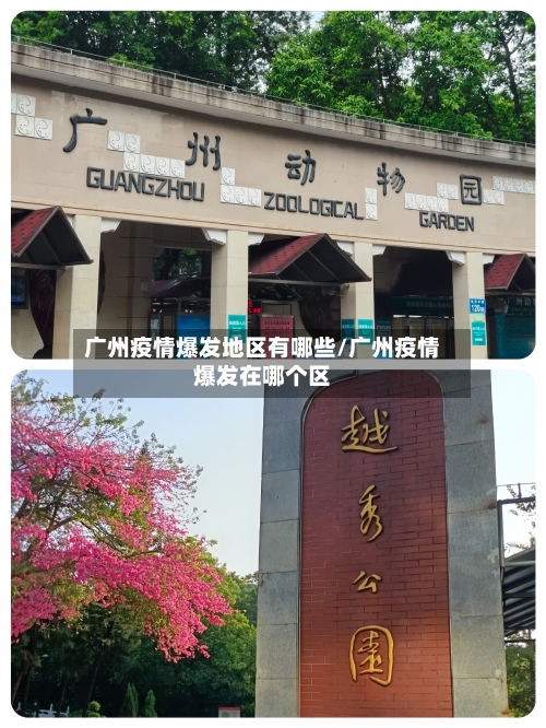 广州疫情爆发地区有哪些/广州疫情爆发在哪个区-第2张图片