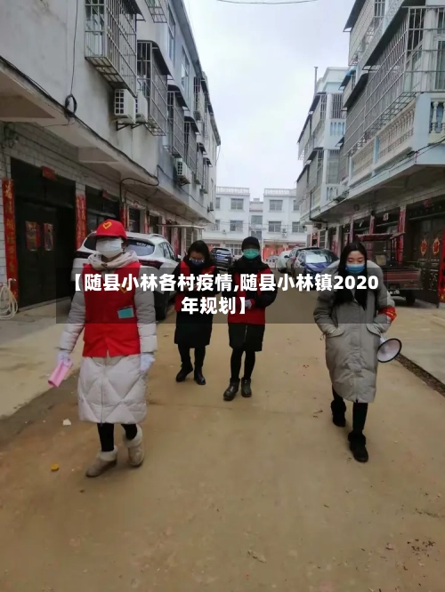 【随县小林各村疫情,随县小林镇2020年规划】-第2张图片