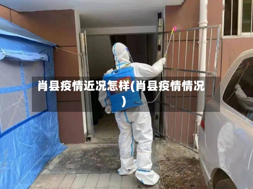 肖县疫情近况怎样(肖县疫情情况)-第3张图片