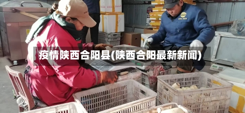 疫情陕西合阳县(陕西合阳最新新闻)-第3张图片
