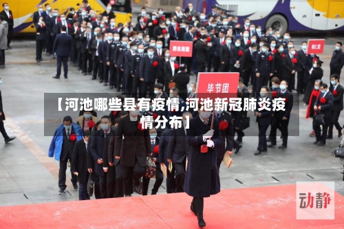 【河池哪些县有疫情,河池新冠肺炎疫情分布】-第2张图片