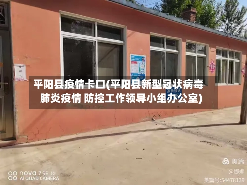 平阳县疫情卡口(平阳县新型冠状病毒肺炎疫情 防控工作领导小组办公室)-第2张图片