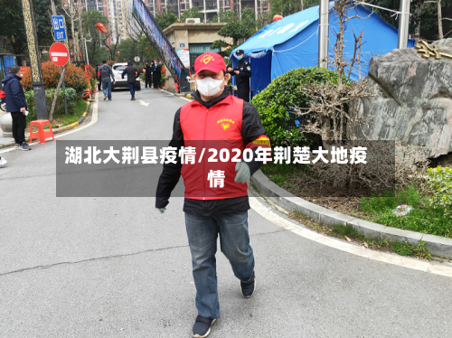 湖北大荆县疫情/2020年荆楚大地疫情-第2张图片