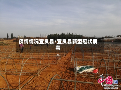 疫情情况宜良县/宜良县新型冠状病毒-第2张图片