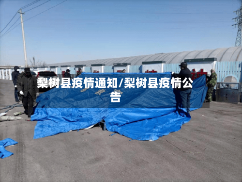梨树县疫情通知/梨树县疫情公告-第3张图片