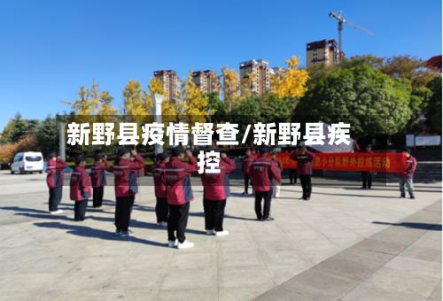 新野县疫情督查/新野县疾控-第1张图片