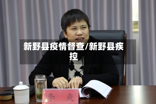 新野县疫情督查/新野县疾控-第2张图片