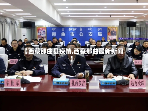 【西藏那曲县疫情,西藏那曲最新新闻】-第2张图片