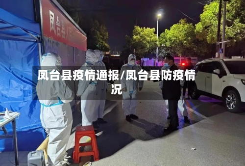 凤台县疫情通报/凤台县防疫情况-第2张图片