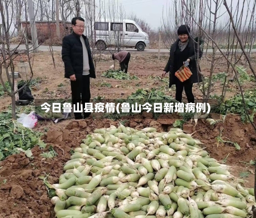 今日鲁山县疫情(鲁山今日新增病例)-第1张图片