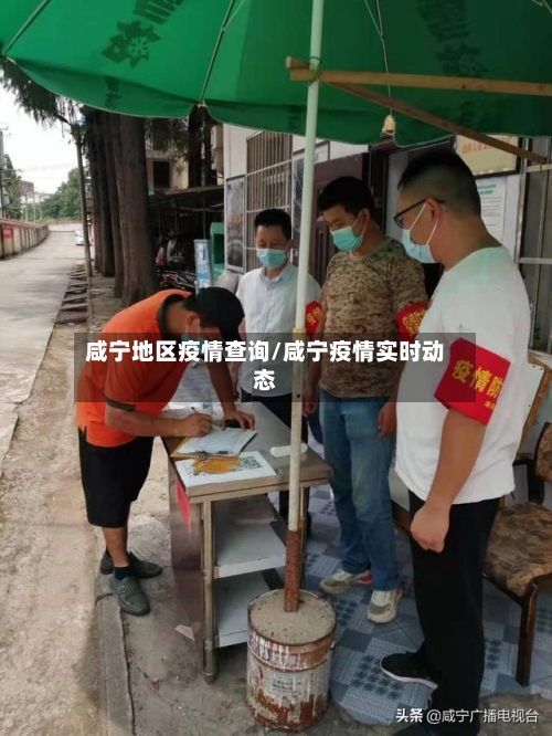咸宁地区疫情查询/咸宁疫情实时动态-第1张图片