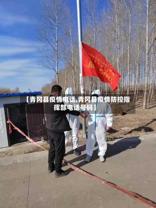 【青冈县疫情电话,青冈县疫情防控指挥部电话号码】-第2张图片