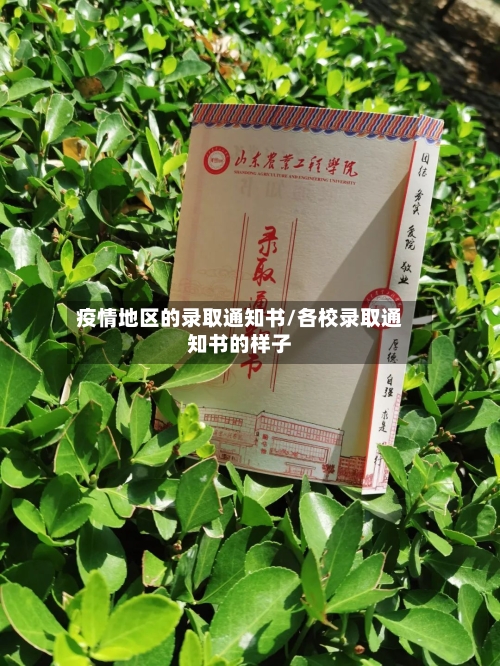 疫情地区的录取通知书/各校录取通知书的样子-第1张图片