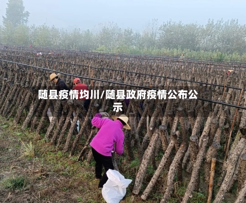 随县疫情均川/随县政府疫情公布公示-第1张图片