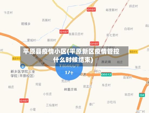 平原县疫情小区(平原新区疫情管控什么时候结束)-第2张图片